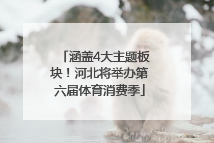 涵盖4大主题板块！河北将举办第六届体育消费季