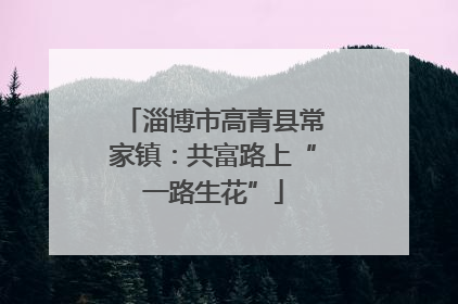 淄博市高青县常家镇：共富路上“一路生花”
