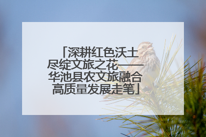 深耕红色沃土 尽绽文旅之花——华池县农文旅融合高质量发展走笔