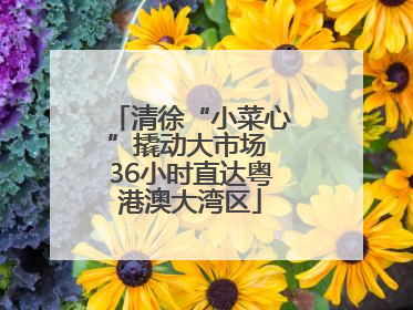 清徐“小菜心”撬动大市场 36小时直达粤港澳大湾区