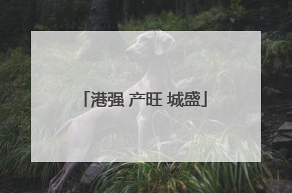 港强 产旺 城盛