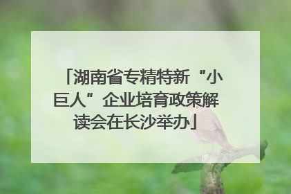 湖南省专精特新“小巨人”企业培育政策解读会在长沙举办
