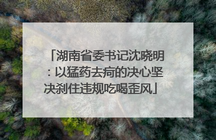 湖南省委书记沈晓明：以猛药去疴的决心坚决刹住违规吃喝歪风