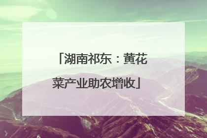 湖南祁东：黄花菜产业助农增收