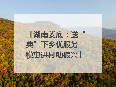 湖南娄底：送“典”下乡优服务 税惠进村助振兴