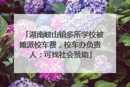 湖南岐山镇多所学校被摊派校车费，校车办负责人：可找社会赞助