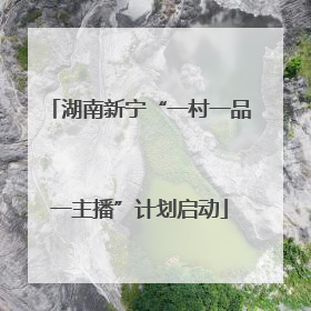 湖南新宁“一村一品一主播”计划启动