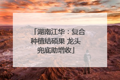 湖南江华：复合种植结硕果 龙头兜底助增收