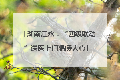 湖南江永：“四级联动”送医上门温暖人心