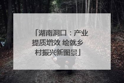 湖南洞口：产业提质增效 绘就乡村振兴新图景