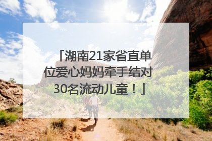 湖南21家省直单位爱心妈妈牵手结对30名流动儿童！