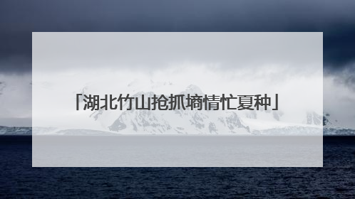 湖北竹山抢抓墒情忙夏种