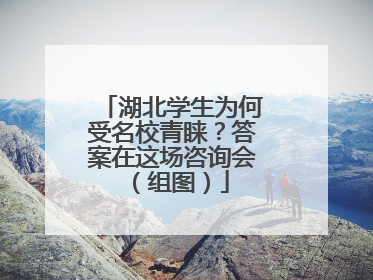 湖北学生为何受名校青睐？答案在这场咨询会（组图）