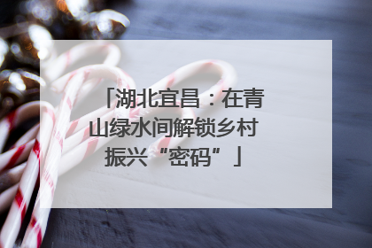 湖北宜昌：在青山绿水间解锁乡村振兴“密码”