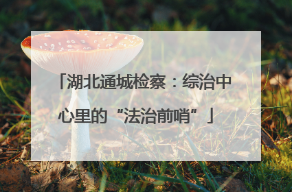 湖北通城检察：综治中心里的“法治前哨”