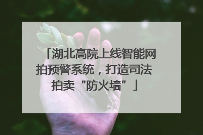 湖北高院上线智能网拍预警系统，打造司法拍卖“防火墙”