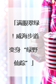 满眼翠绿！威海步道变身“绿野仙踪”
