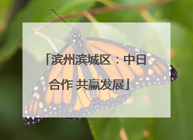 滨州滨城区：中日合作 共赢发展