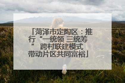 菏泽市定陶区：推行“一统领 三统筹” 跨村联建模式 带动片区共同富裕