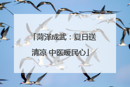 菏泽成武：夏日送清凉 中医暖民心