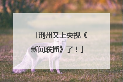 荆州又上央视《新闻联播》了！