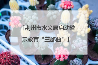 荆州市水文局启动警示教育“三部曲”