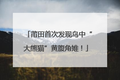 莆田首次发现鸟中“大熊猫”黄腹角雉！