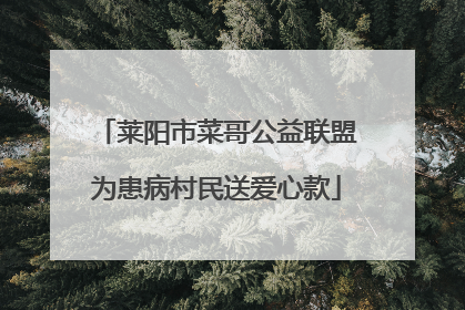 莱阳市菜哥公益联盟为患病村民送爱心款