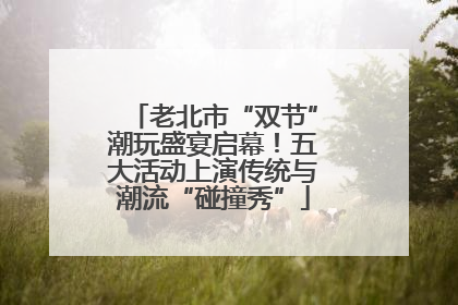 老北市“双节”潮玩盛宴启幕！五大活动上演传统与潮流“碰撞秀”