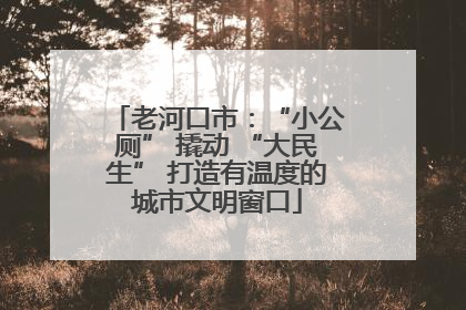 老河口市：“小公厕” 撬动 “大民生” 打造有温度的城市文明窗口