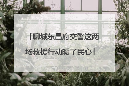 聊城东昌府交警这两场救援行动暖了民心