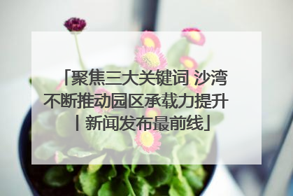 聚焦三大关键词 沙湾不断推动园区承载力提升丨新闻发布最前线