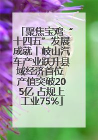 聚焦宝鸡“十四五”发展成就丨岐山汽车产业跃升县域经济首位 产值突破205亿 占规上工业75%