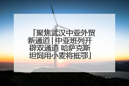 聚焦武汉中亚外贸新通道│中亚班列开辟双通道 哈萨克斯坦饲用小麦将抵鄂