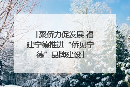 聚侨力促发展 福建宁德推进“侨见宁德”品牌建设