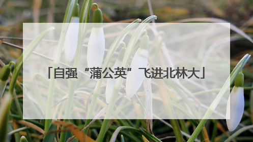 自强“蒲公英”飞进北林大