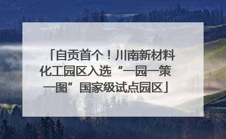 自贡首个！川南新材料化工园区入选“一园一策一图”国家级试点园区