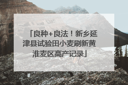 良种+良法！新乡延津县试验田小麦刷新黄淮麦区高产记录