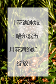 花语冰城：哈尔滨五月花海绚烂绽放