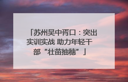 苏州吴中胥口：突出实训实战 助力年轻干部“壮苗抽穗”