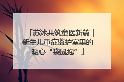 苏沭共筑童医新篇｜新生儿重症监护室里的暖心“袋鼠抱”