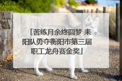 苦练月余终圆梦 耒阳队勇夺衡阳市第三届职工龙舟赛金奖