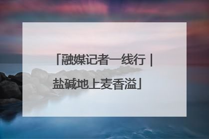 融媒记者一线行｜盐碱地上麦香溢