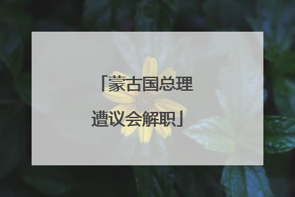 蒙古国总理遭议会解职