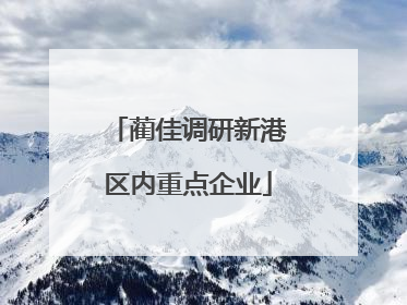 蔺佳调研新港区内重点企业