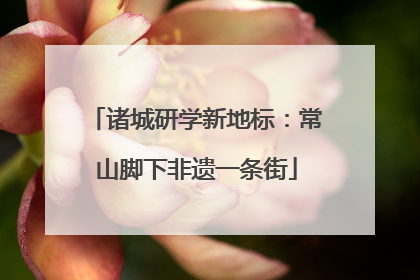 诸城研学新地标：常山脚下非遗一条街