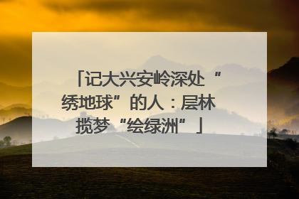 记大兴安岭深处“绣地球”的人：层林揽梦“绘绿洲”