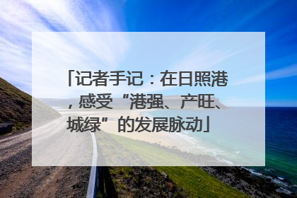 记者手记：在日照港，感受“港强、产旺、城绿”的发展脉动