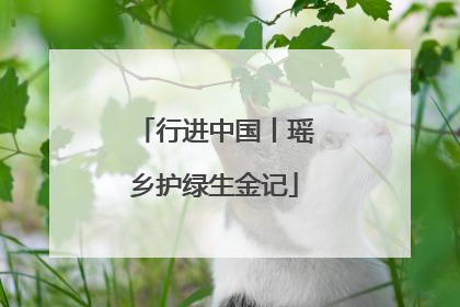 行进中国丨瑶乡护绿生金记