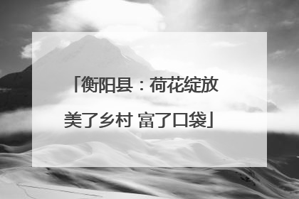衡阳县：荷花绽放 美了乡村 富了口袋
